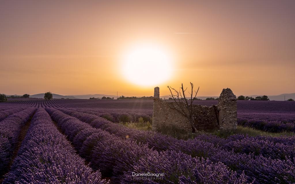 Les Terrasses De Valensole Bed and Breakfast Exteriör bild