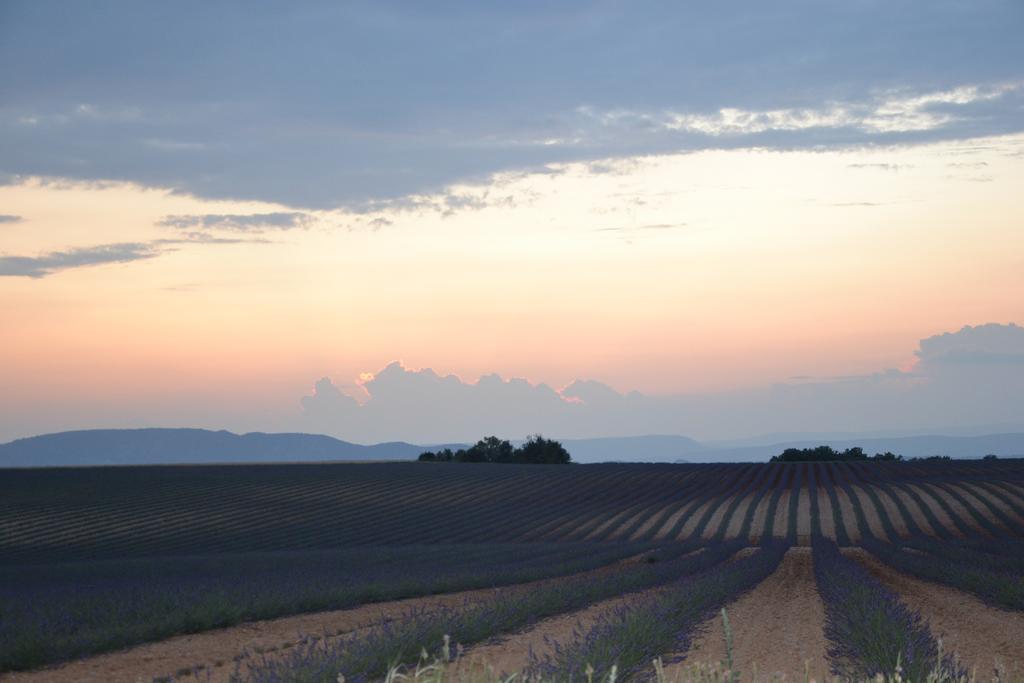 Les Terrasses De Valensole Bed and Breakfast Exteriör bild